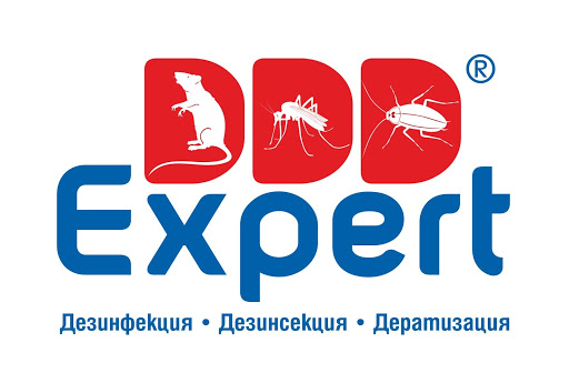 DDD-Expert