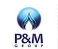 P and M CONSULTING